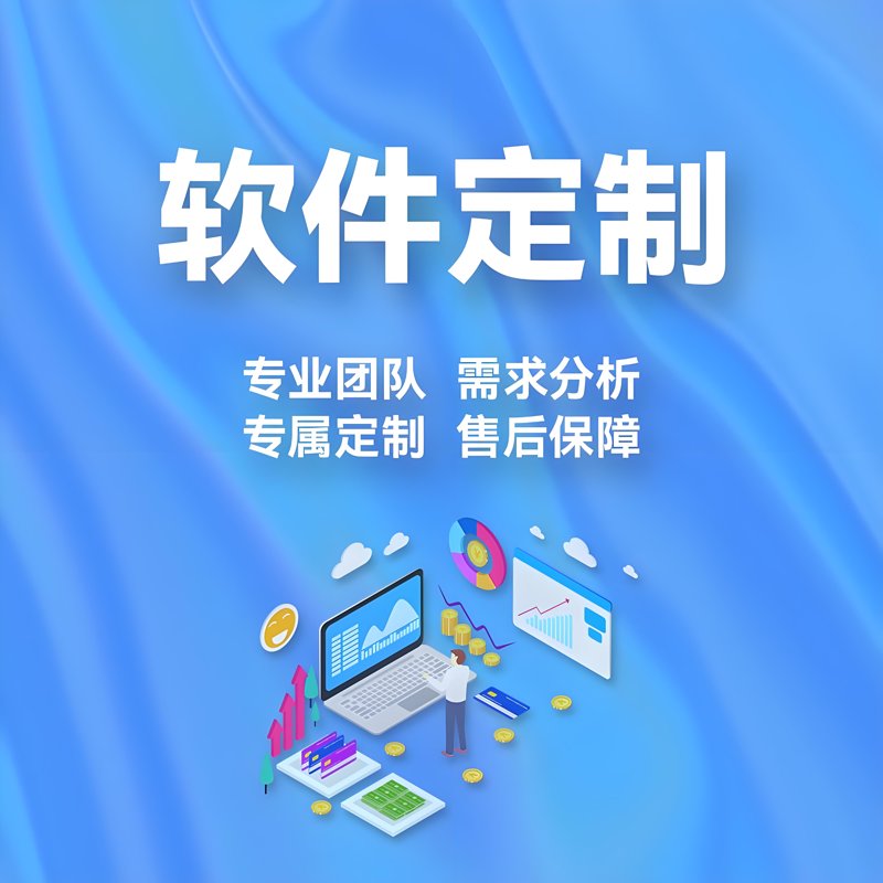 软件定制开发：企业数字化转型的得力助手